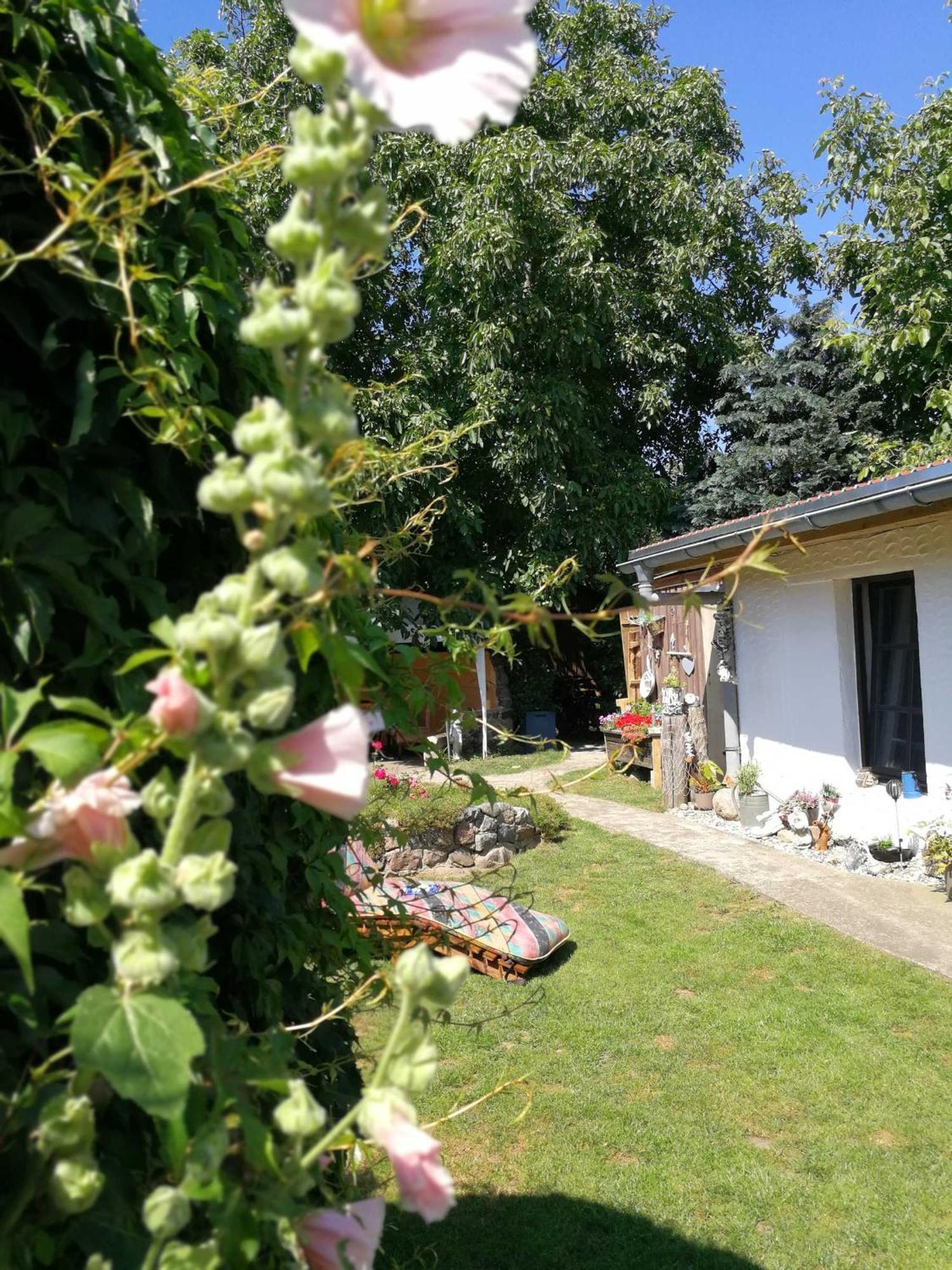 Elmenhorst/Lichtenhagen Bungalow Bei Warnemuende מראה חיצוני תמונה